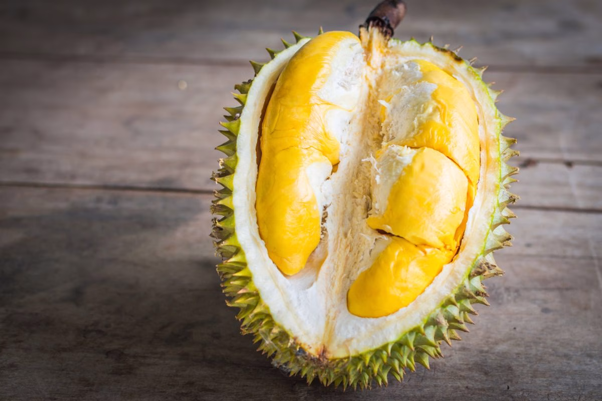 Ini Keistimewaan 5 Durian Termahal, Ada Musang King hingga Black Thorn