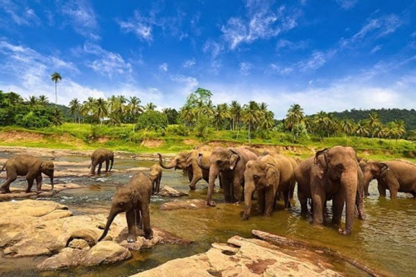 Taman Nasional Way Kambas