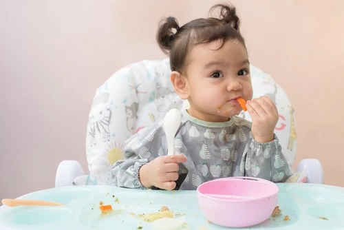 Alternatif Bahan Alami untuk Biskuit Bayi