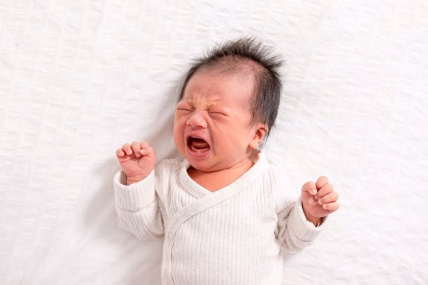 Contoh Nama Bayi Laki-laki dari Bahasa Belanda