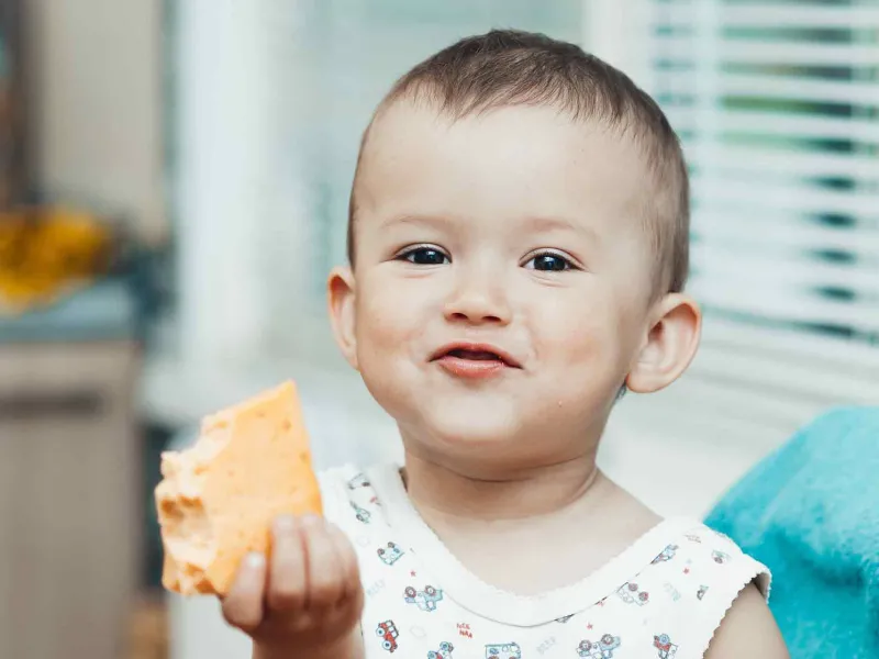 Alternatif Lemak Tambahan Selain Keju