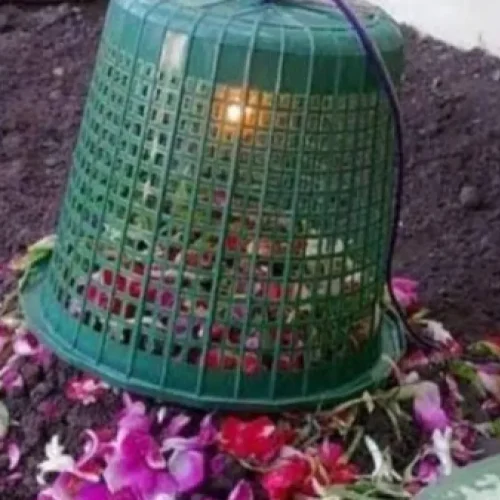 mengubur ari ari dalam islam