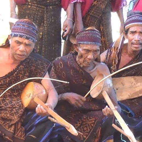 alat musik dari nusa tenggara timur