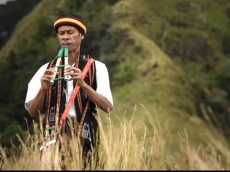 alat musik dari nusa tenggara timur