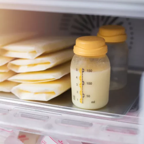 asi beku bertahan berapa lama