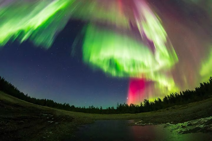 aurora dimana