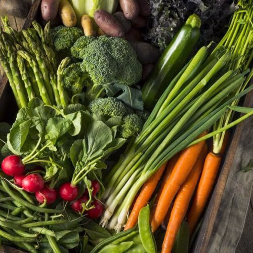 contoh sayuran batang