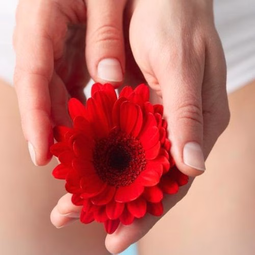 ramuan agar miss v harum dan keset