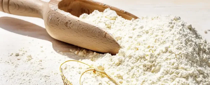 terigu protein sedang merk apa