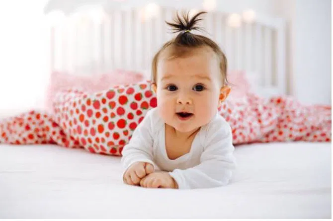 arti nama alesha dalam al quran