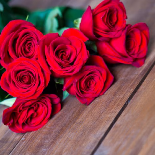 bunga mawar merah melambangkan