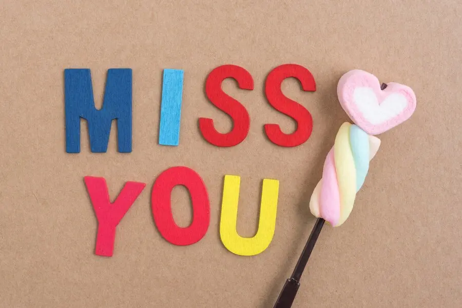 apa arti i miss you