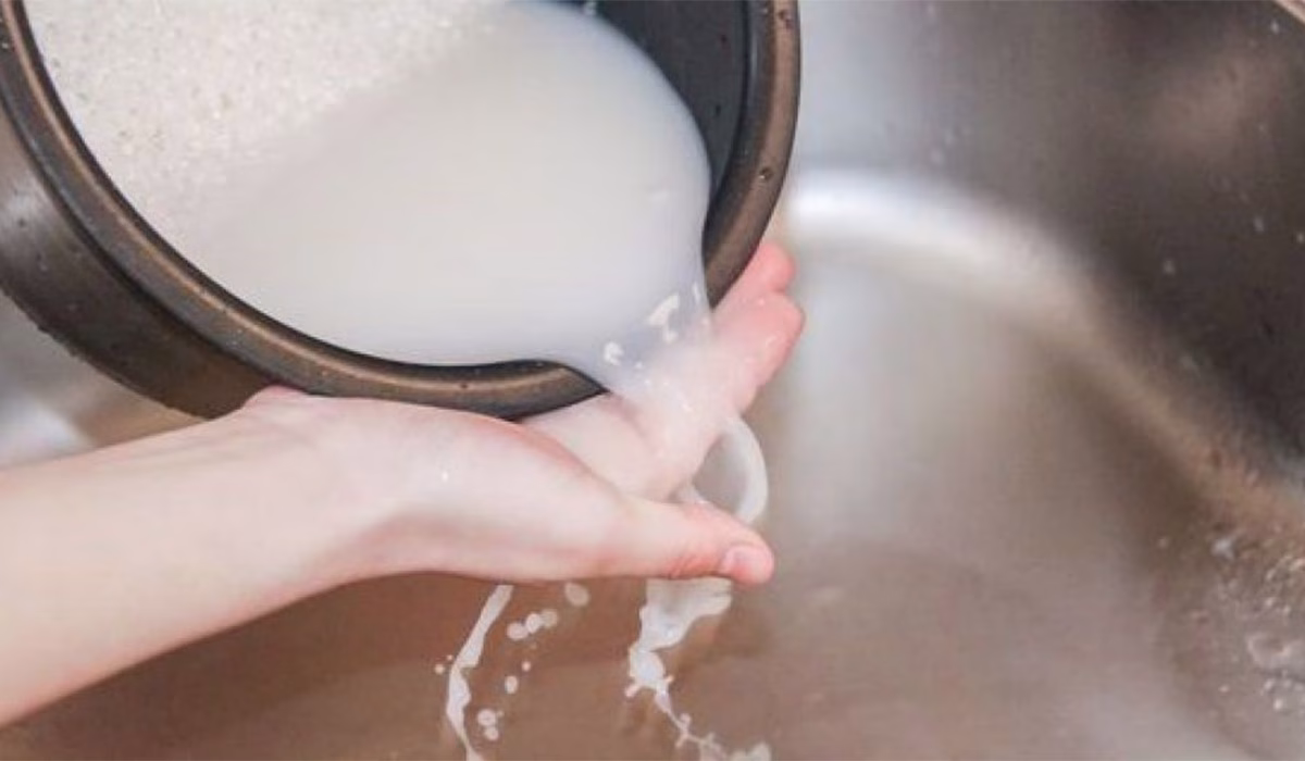 manfaat air cucian beras untuk tanaman