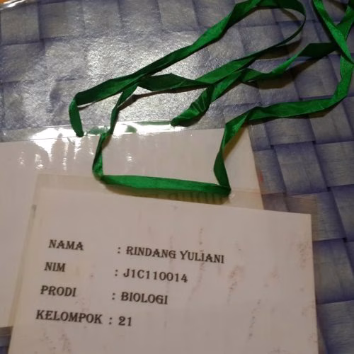 name tag ospek
