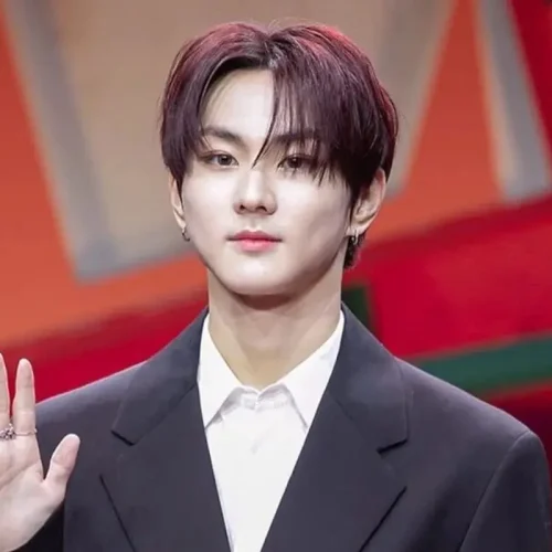 tinggi jungwon enhypen