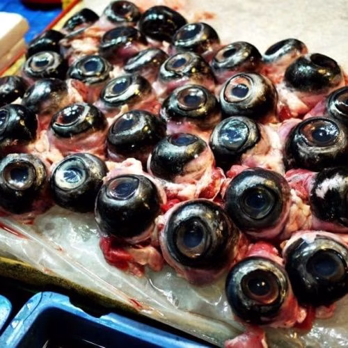 makanan paling unik di dunia