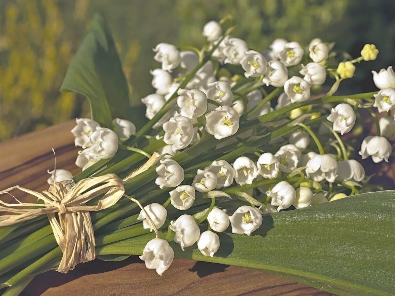 makna bunga lily of the valley