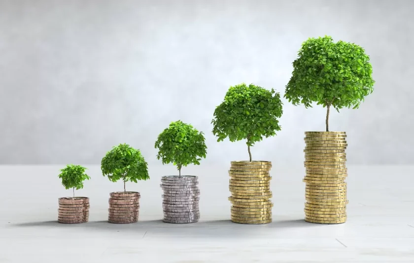 rekomendasi investasi pemula