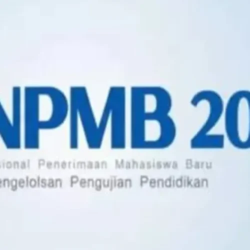 portal snpmb