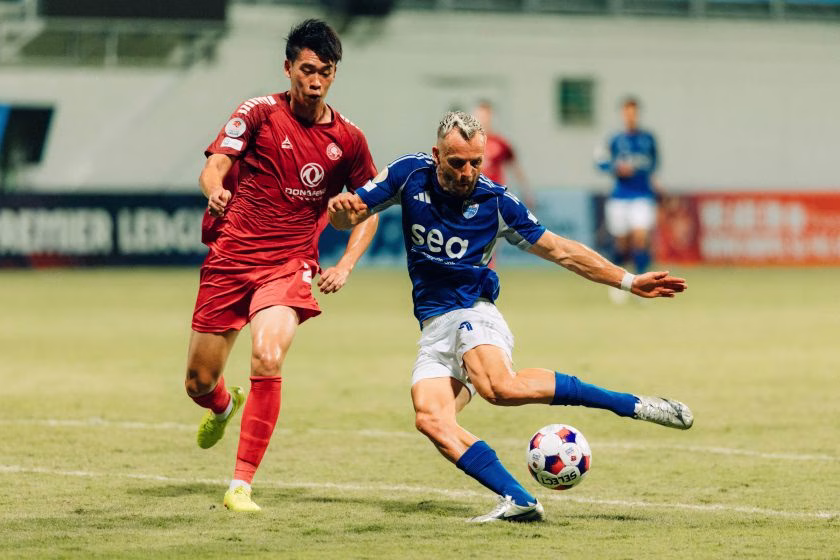 tampines vs young lions