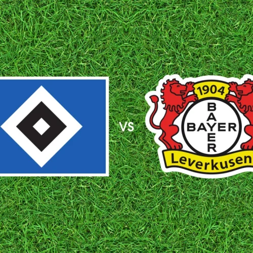 hamburger vs leverkusen