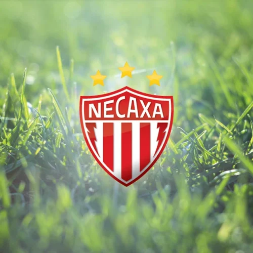 necaxa