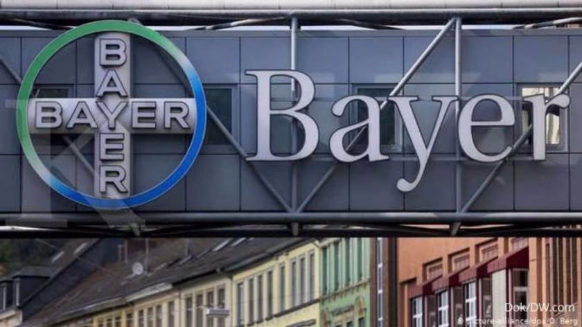bayer