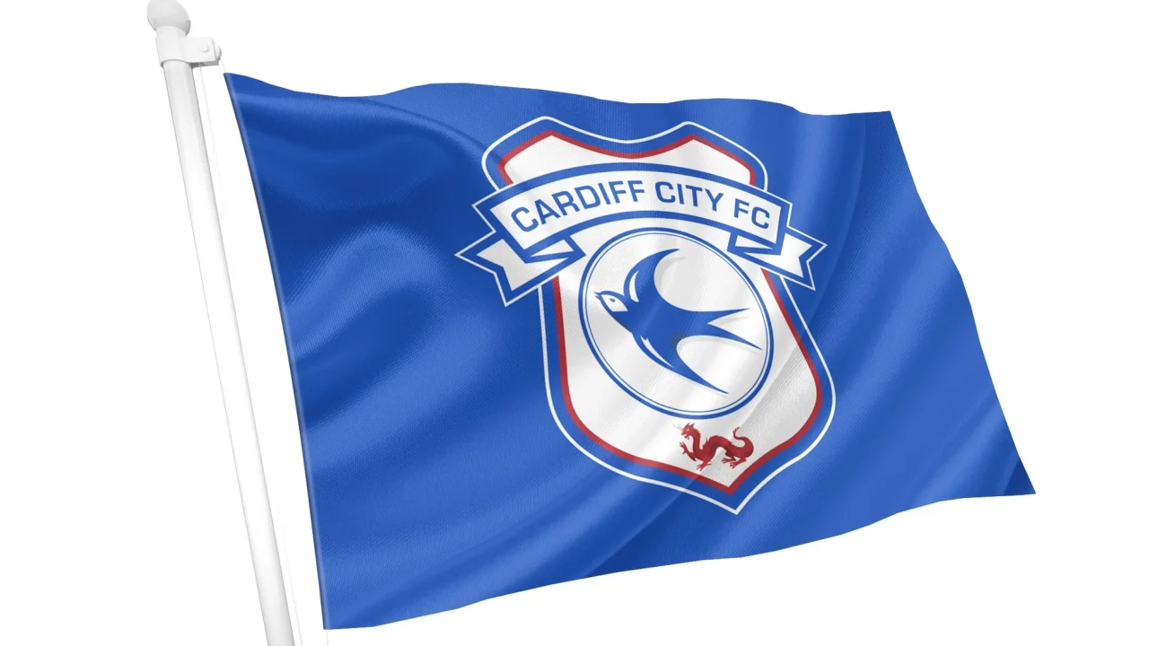 cardiff city