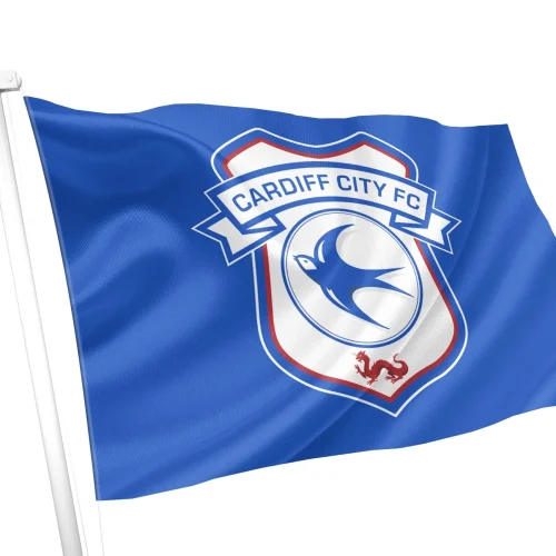 cardiff city