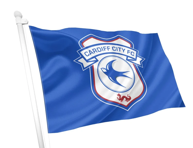 cardiff city