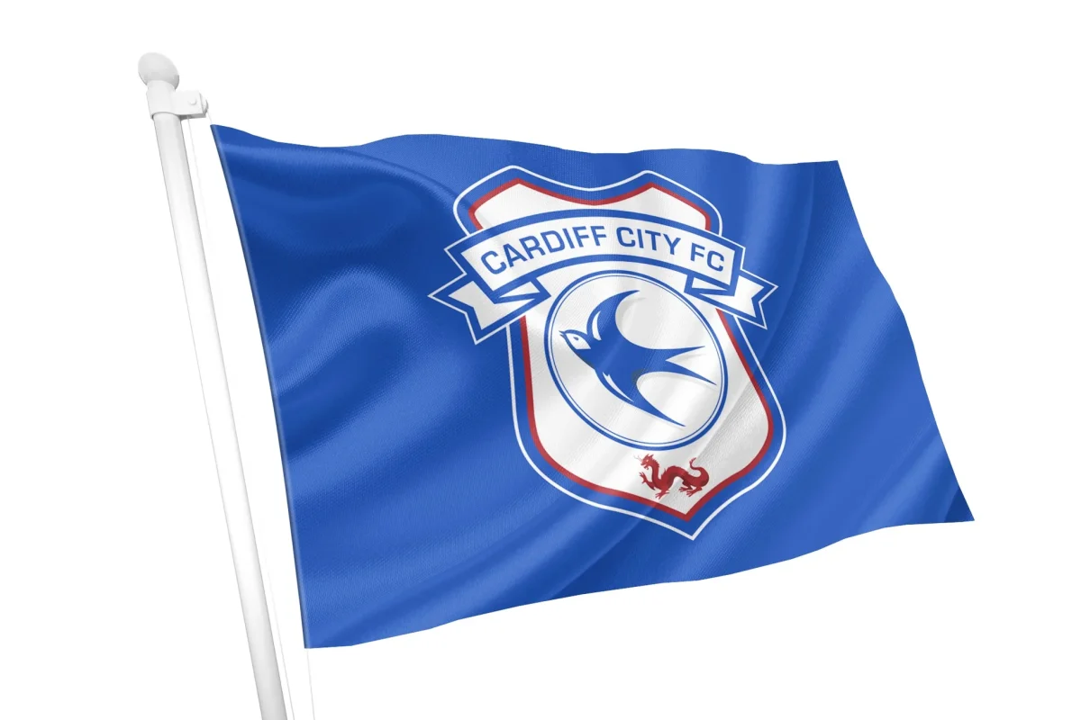 cardiff city