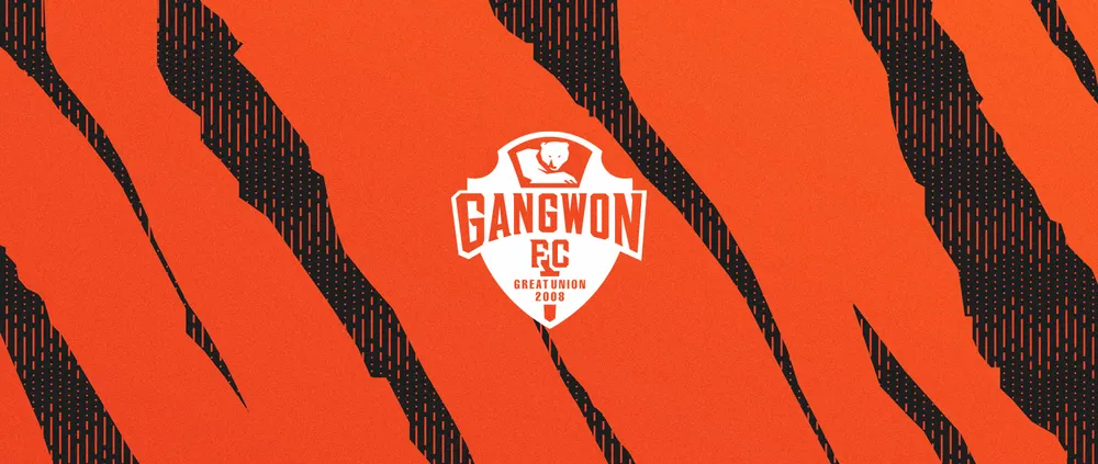 gangwon fc
